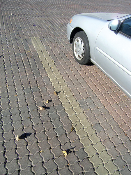 Aqua-Loc Parking Stalls